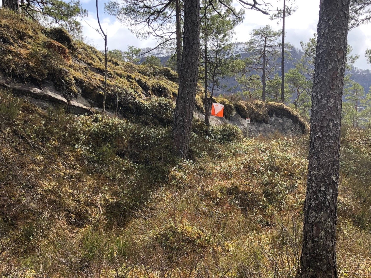 Løp i Markane - og ungdomssamling og o-troll
